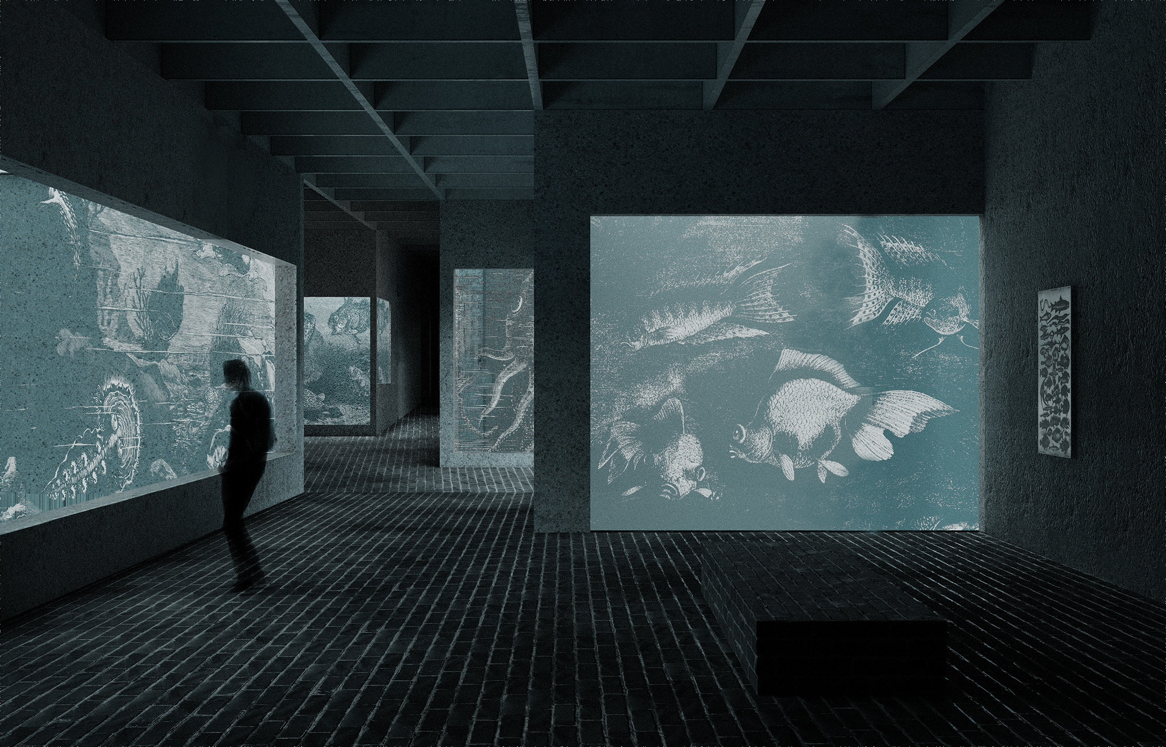 Zoo Basel,Visualisierung Untergeschoss